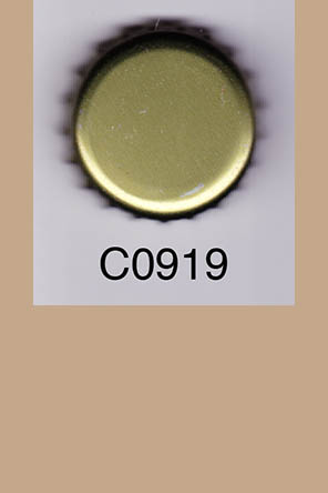 T0919p