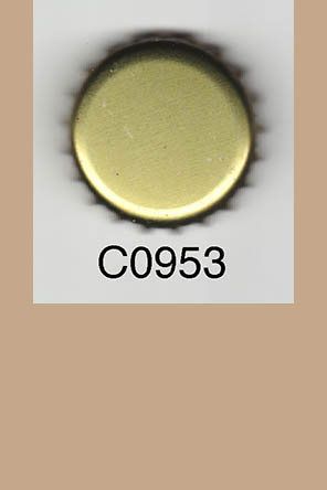 T0953p
