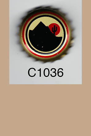T1036p
