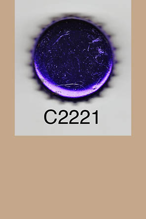 T2221p