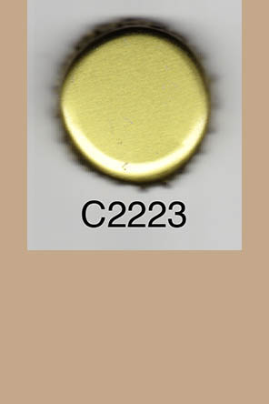 T2223p