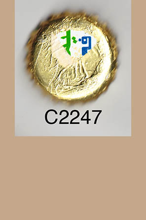 T2247p