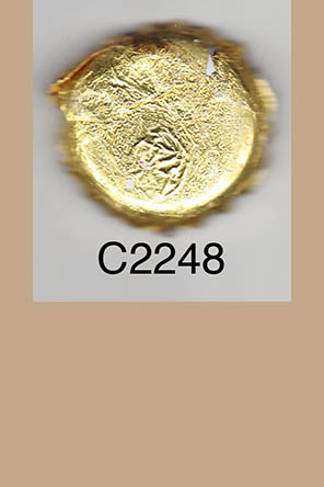 T2248p