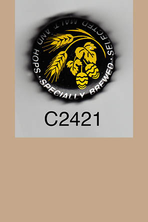 T2421p