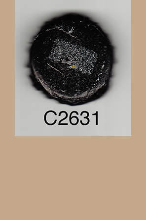 T2631p