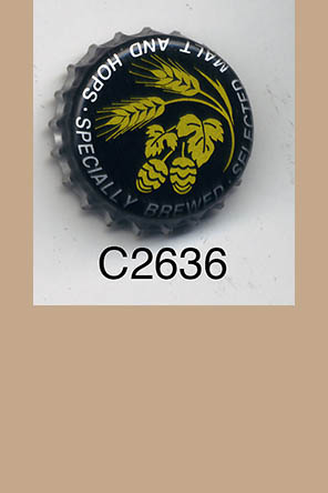 T2636p