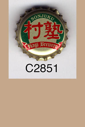 T2851p