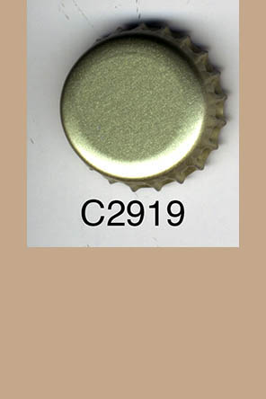 T2919p
