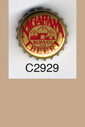 T2929p