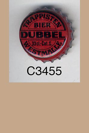T3455p