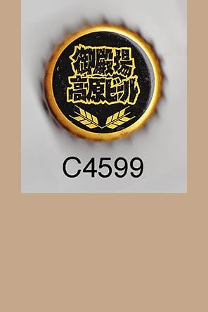 T4599p
