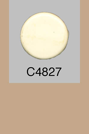 T4827p