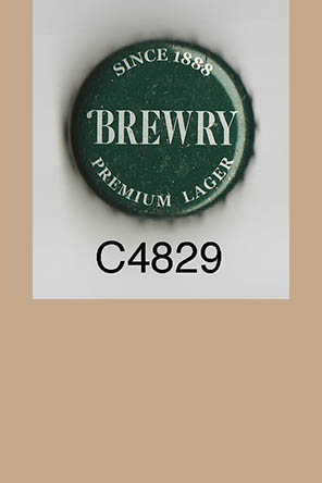 T4829p