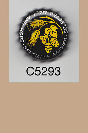 T5293p