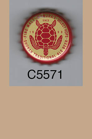T5571p
