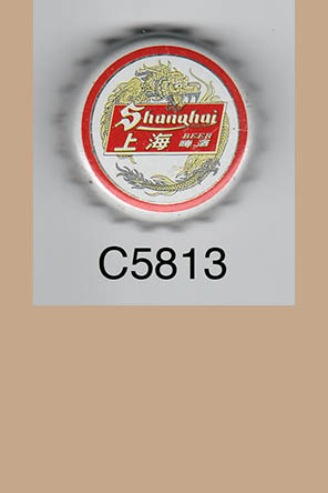 T5813p