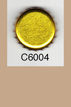 T6004p