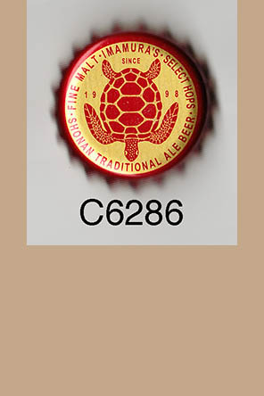 T6286p