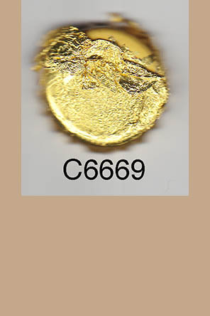 T6669p