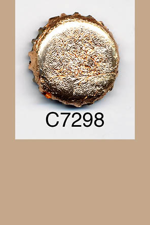 T7298p