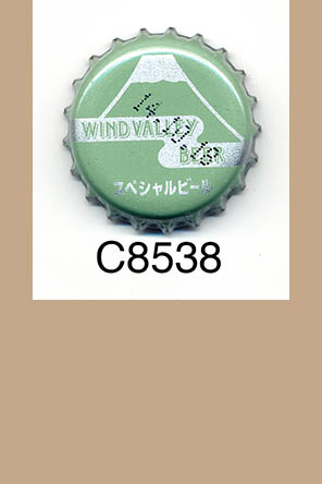 T8538p