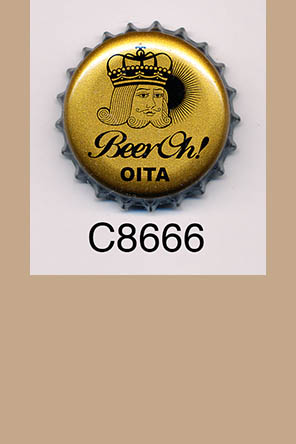 T8666p