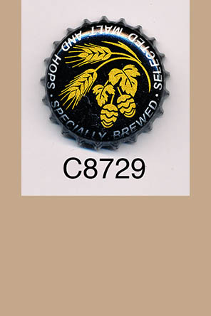 T8729p