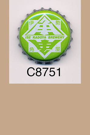 T8751p