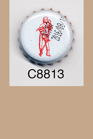 T8813p