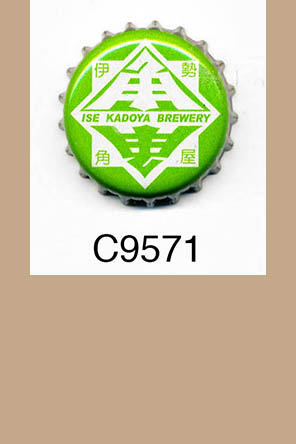 T9571p