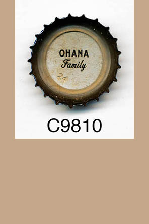 T9810q