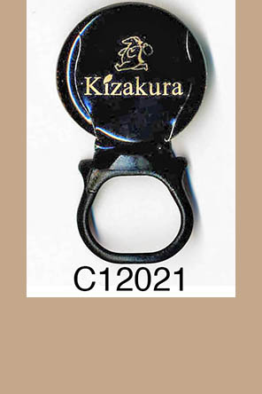 T12021p