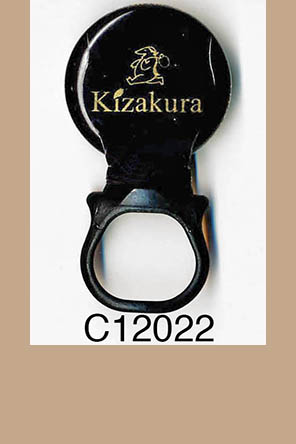 T12022p