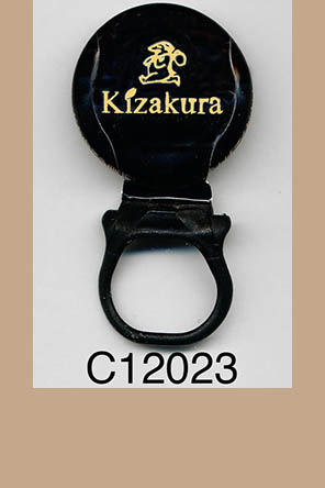 T12023p