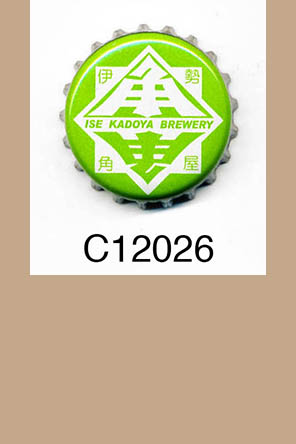 T12026p