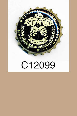 T12099p