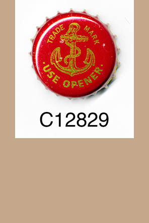 T12829p