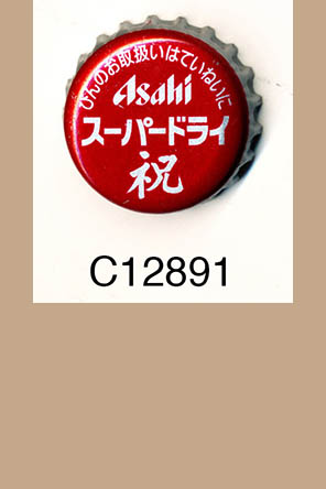 T12891p