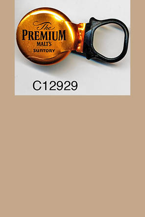 T12929p