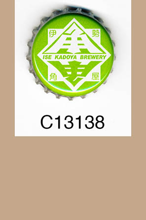 T13138p
