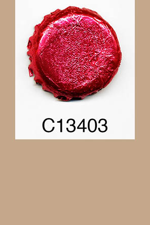 T13403p