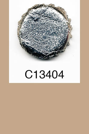 T13404p