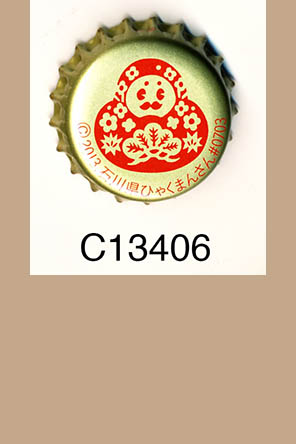 T13406p
