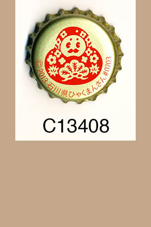 T13408p