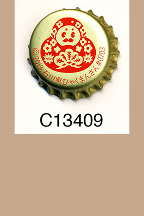 T13409p