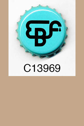 T13969p
