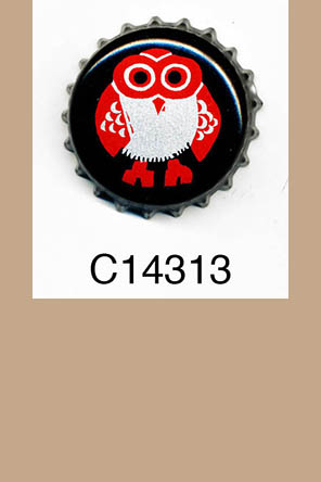 T14313p