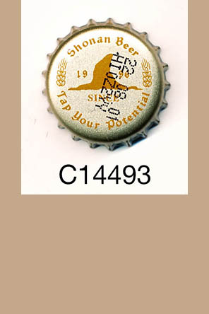 T14493p