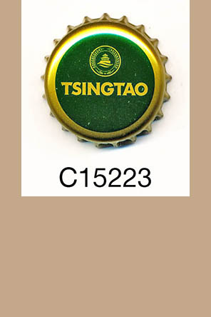 T15223p