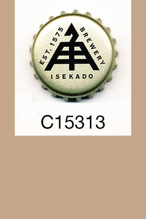 T15313p